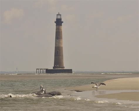 THE 10 BEST Things to Do in Folly Beach (2024)