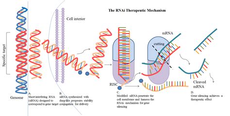 Gene Therapy Using RNAi | IntechOpen