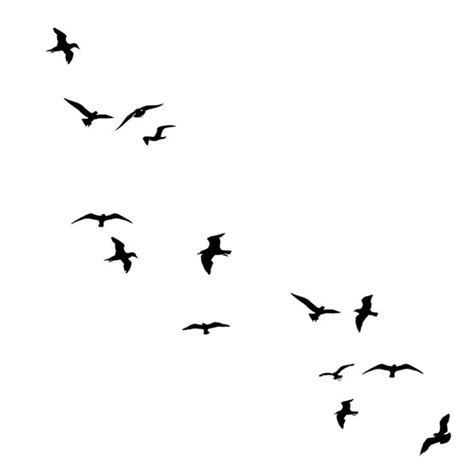 Birds silhouette | Bird silhouette tattoos, Birds flying away, Flying bird tattoo