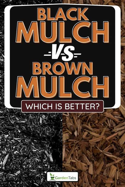 Black Mulch Vs. Brown Mulch Pros & Cons: Which Is Better?