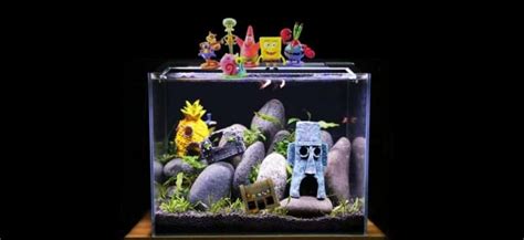 15 Fun Fish Tank Themes You’ll Want Try