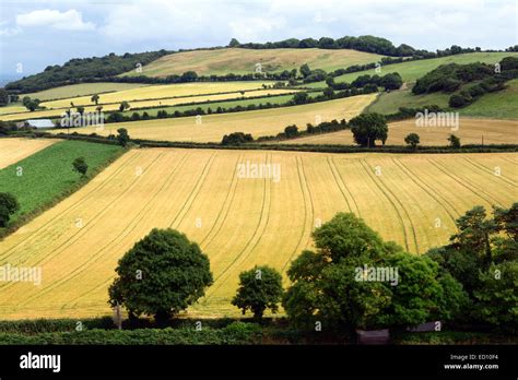 Laois countryside wheat field harvested summer ireland view from rock ...