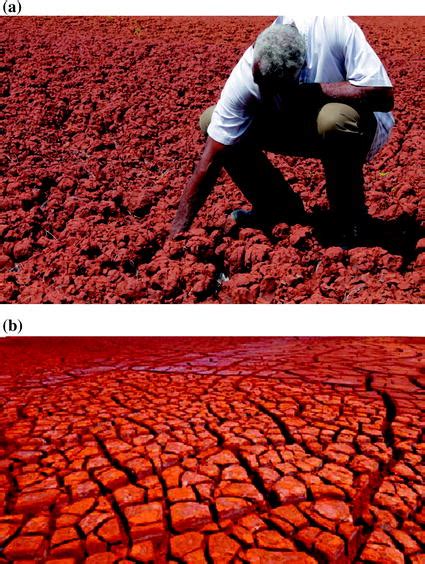 Dust Reduction in Bauxite Red Mud Waste using Carbonation, Gypsum & Flocculation | SpringerLink