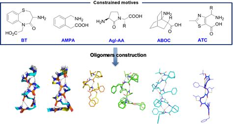 Design, structural and functional studies of folded oligomers – IBMM Peptide team