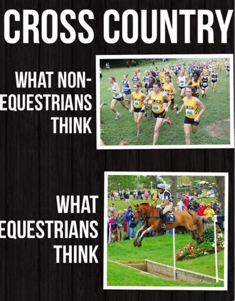 Cross Country in 2020 | Funny horse memes, Horse jokes, Funny horses