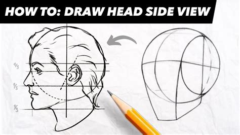 Head Proportions, Step By Step Drawing, Side View, Face Drawing, Learn ...