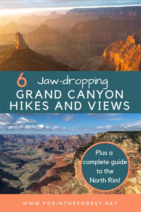 7 Must-See Grand Canyon North Rim Hikes for Your Bucket List