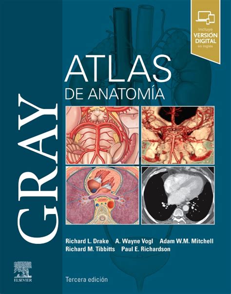 Gray. Atlas de Anatomía - Edition 3 - By Richard L. Drake, A. Wayne Vogl, PhD and Adam M.W ...