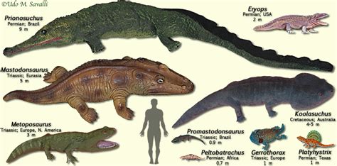 Temnospondyl | Dinopedia | Fandom