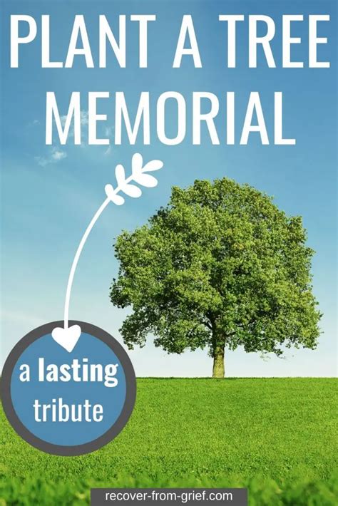 Plant A Tree Memorial - A Lasting Tribute - Recover From Grief