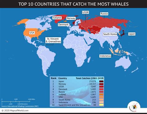 Countries That Catch Most Whales - World Top Ten