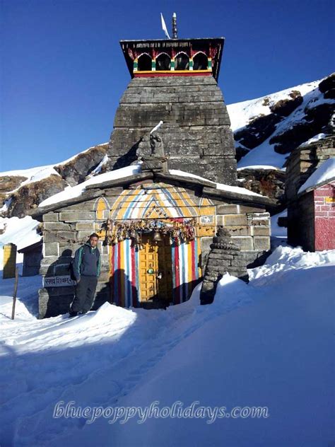 Chopta travel guide with latest information on chopta trek, Uttrakhand