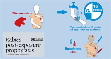 Rabies Vaccine for Humans - Destination Health Travel Clinic