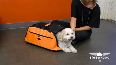 Sleepypod Air pet carrier - Instructional Video - YouTube