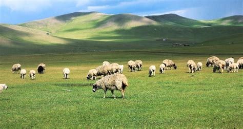 Hulunbuir Travel Guide: Things to Do, Travel Tips