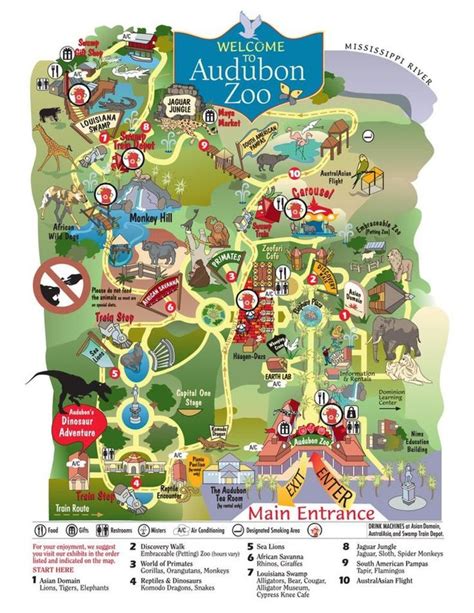 Map of the Audubon Zoo in New Orleans Infographic | Audubon zoo, Zoo, Zoo map