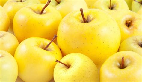 The Best Price for Buying Golden Apple Fruits - Arad Branding