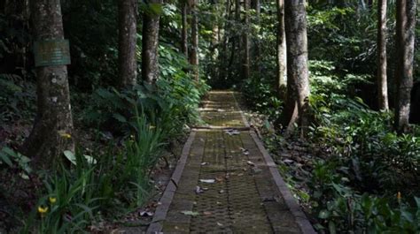 Taman Hutan Raya Ir H Djuanda, Tempat Wisata Alam di Tengah Kota Bandung