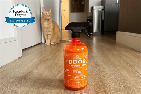 Angry Orange Pet Odor Eliminator Review | "Magic" for Stubborn Smells | Trusted Since 1922