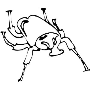 Beetle Outline PNG, SVG Clip art for Web - Download Clip Art, PNG Icon Arts