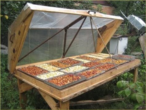 Sun-drying vegetables and fruits for long-term storage: 40 clever and creative ideas | My ...