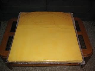 Cheese Costume 1 | My 2004 Halloween costume, a slice of che… | Flickr