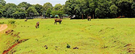 The Cradle of Mankind Safari - Kendirita Tours Travel, Kenya