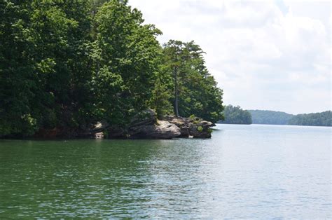 Explore the Mysterious Islands in Lake Lanier - Lake Lanier