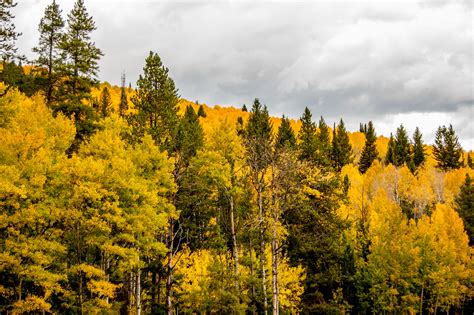 Logan Canyon Scenic Byway – Logan Canyon, Utah | The Trek Planner