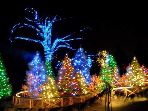 Longwood Gardens Christmas Lights Video – Beautiful Flower Arrangements and Flower Gardens