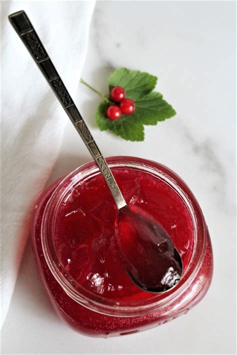 50+ Red Currant Recipes