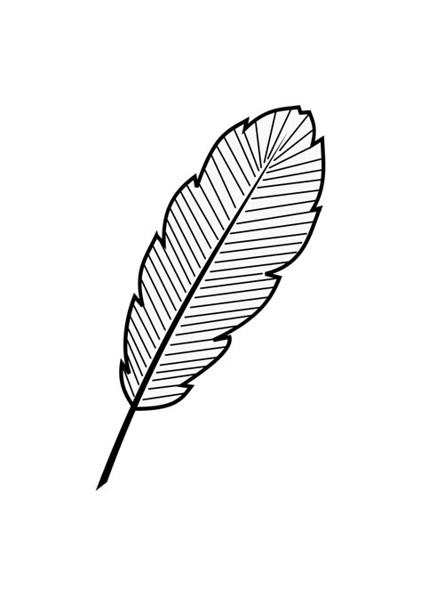 Feather Outline Black and White Clipart Free SVG File - SVG Heart