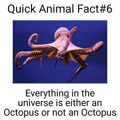 Quick Animal Fact6 Everything in the universe ... - Memegine