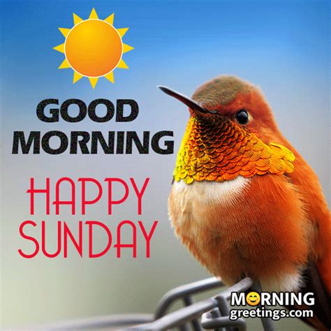 Good Morning Happy Sunday Images Gif - Infoupdate.org