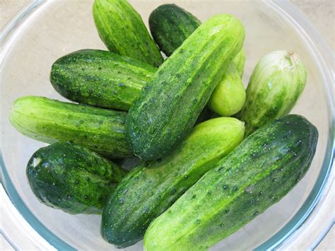 Pickled cucumber – Soil and Cellar