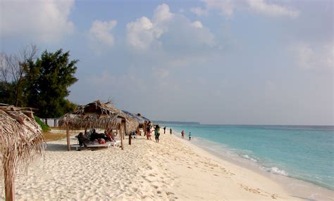 planning a trip to Lakshadweep Islands? here's everything you need to know