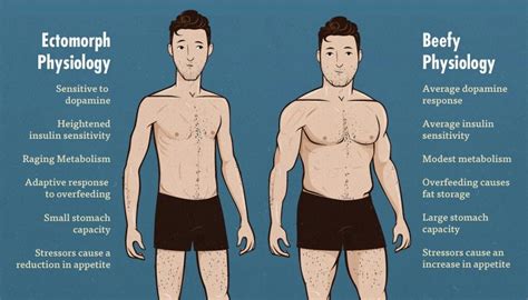 Understanding the Short Ectomorph Body Type and How to Build Muscle