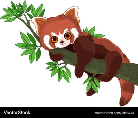 Red Panda Royalty Free Vector Image - VectorStock