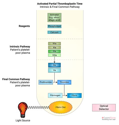 Activated Partial Thromboplastin Time (APTT) - LearnHaem | Haematology Made Simple