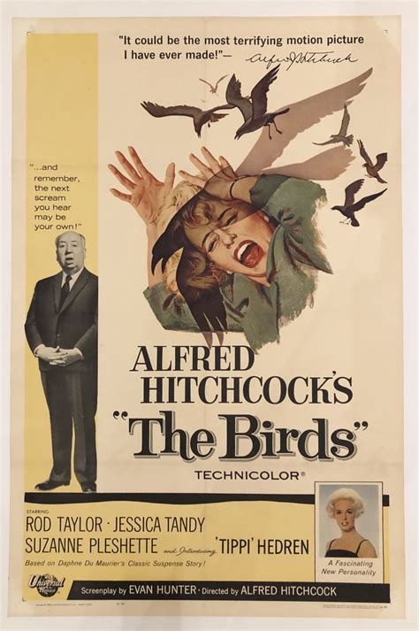 Alfred Hitchcock's "THE BIRDS." (Original Vintage Movie Poster) by ...