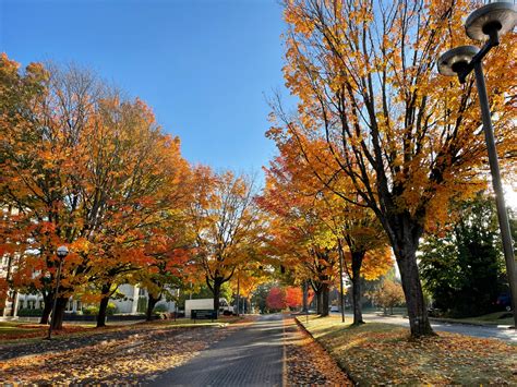 Maple Park – South Capitol Neighborhood Association