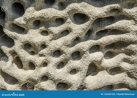 Pumice, Lava Rock Stone Texture Full of Holes and Abstract Pattern. Stock Photo - Image of ...