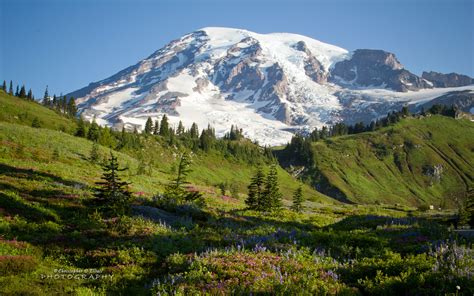 美国雷尼尔山 大自然风光风景宽屏壁纸_我爱桌面网提供