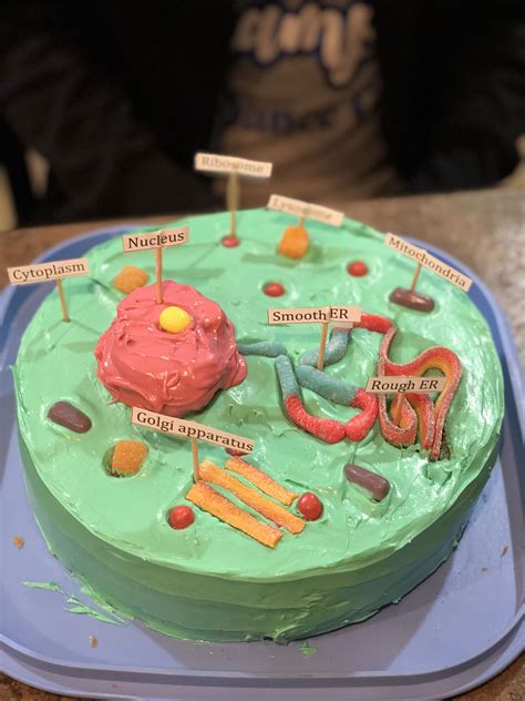 Animal Cell Cake Model - Cake A Bite Inside Of An Animal Cell Cake ...