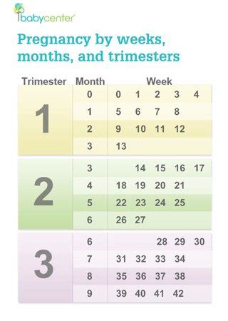 Chart on how many months pregnant - BabyCenter