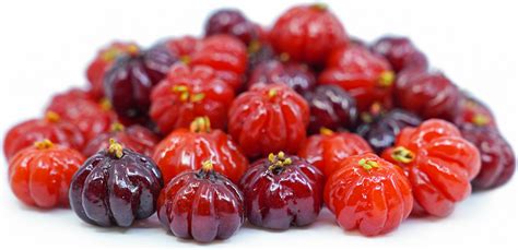 Surinam Cherries Information and Facts