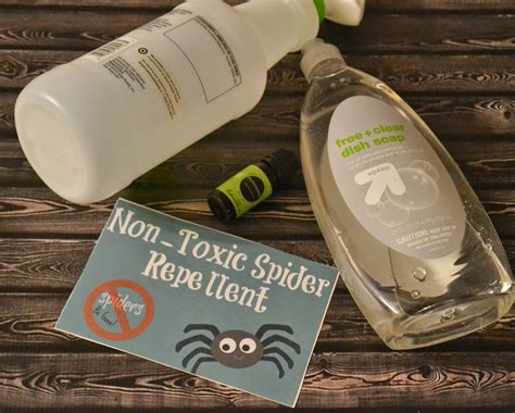 Homemade Non-Toxic Spider Repellent #DIY | Building Our Story