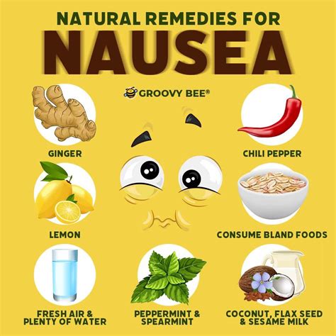 6 Best Home Remedy For Nausea - Flash Uganda Media