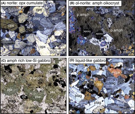 Photomicrographs of norite and gabbro textures. a, b, and d were taken... | Download Scientific ...