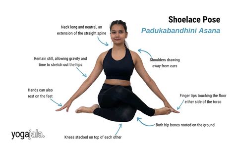 Aggregate 173+ deer pose variations latest - nanoginkgobiloba.vn